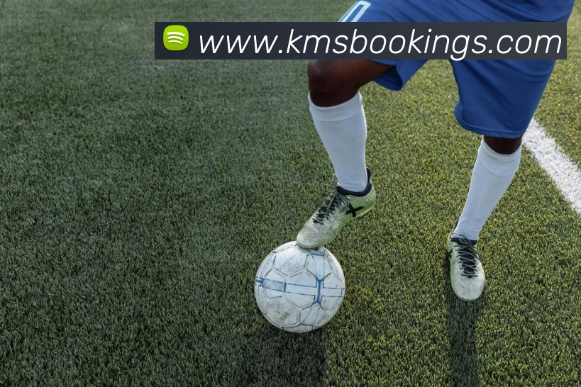 KAIYUNSPORTS官网平台生态图